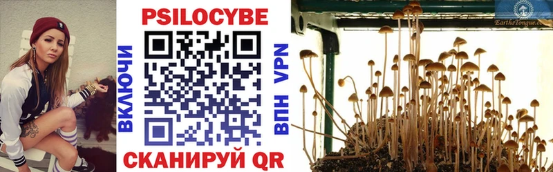 blacksprut tor  Чишмы  Псилоцибиновые грибы MAGIC MUSHROOMS  купить наркотики цена 